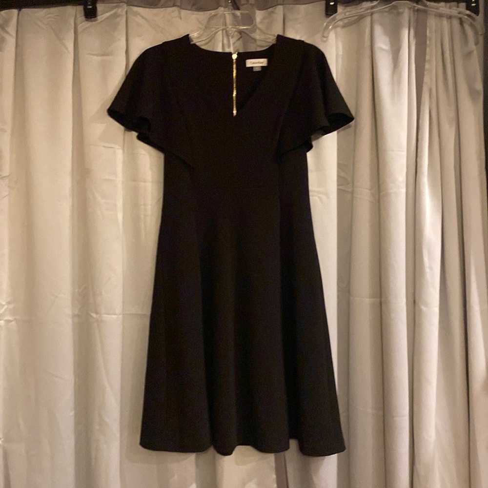 Calvin Klein fit and flare dress